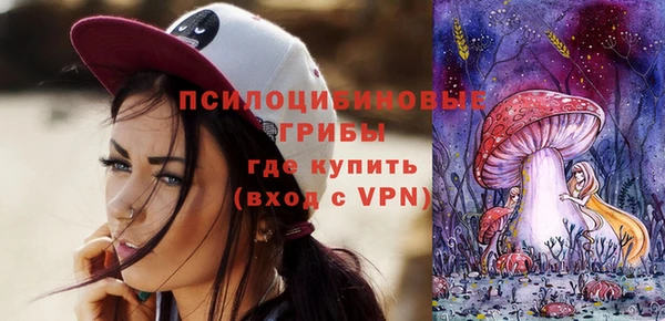 молекула духа Бронницы