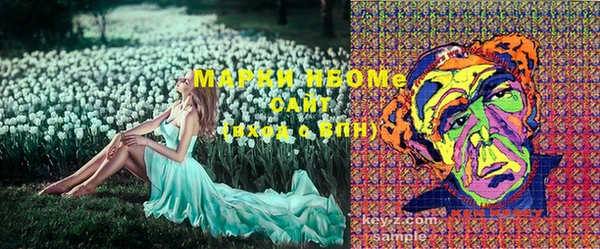 молекула духа Бронницы