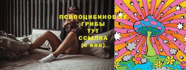 молекула духа Бронницы