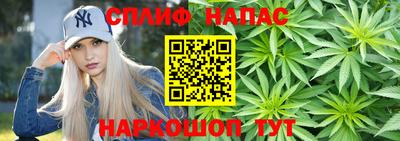 спайс Кингисепп