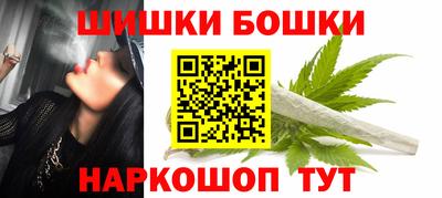 спайс Кингисепп