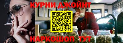 спайс Кингисепп