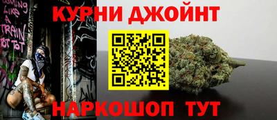 спайс Кингисепп