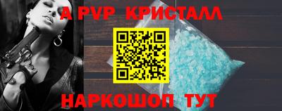 спайс Кингисепп