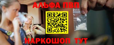 спайс Кингисепп