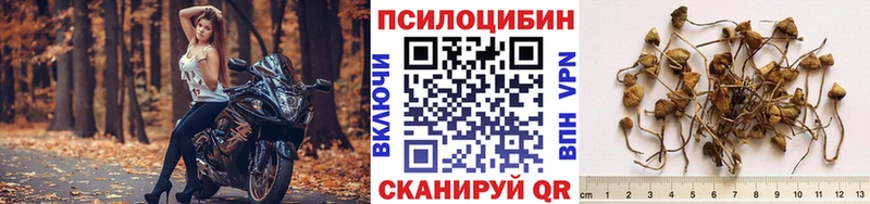 Галлюциногенные грибы MAGIC MUSHROOMS  ссылка на мегу онион  Северск 