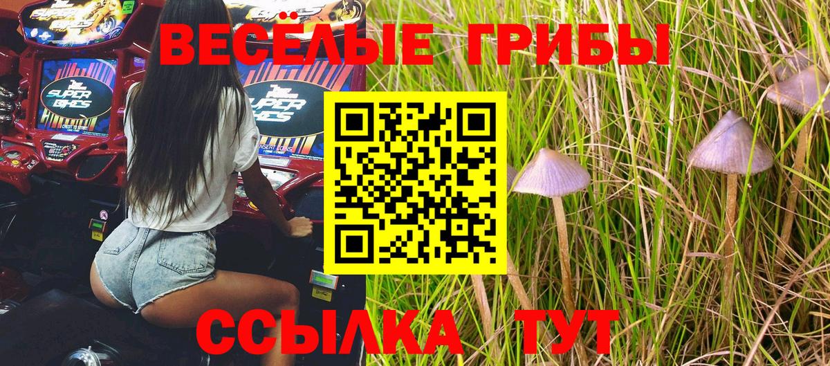 Псилоцибиновые грибы мицелий  Вход с VPN  Северск 